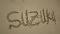 آواتار SUZUKI