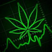Thc!.B1