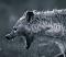 آواتار Hyena