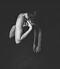 آواتار whish