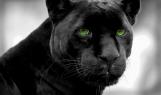 |_UnknowN_| آواتار ها